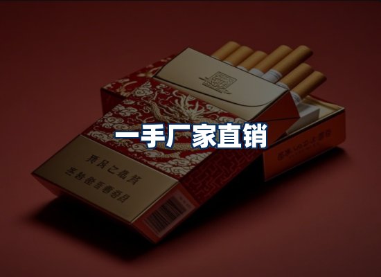 专业团队办公环境